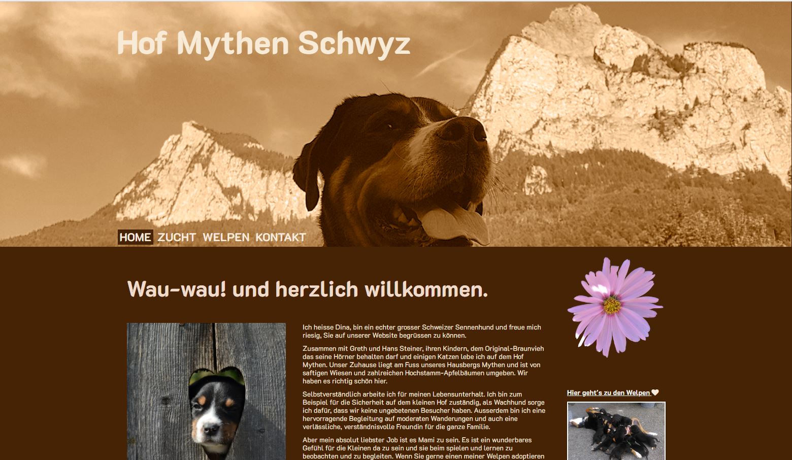 Hof Mythen Schwyz Screenshot Website