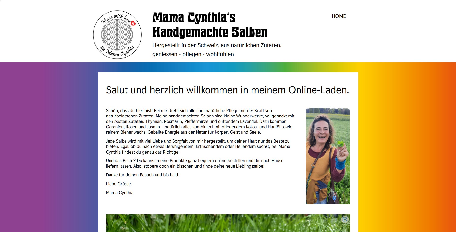 Trans-Logik Bürgi Screenshot Website